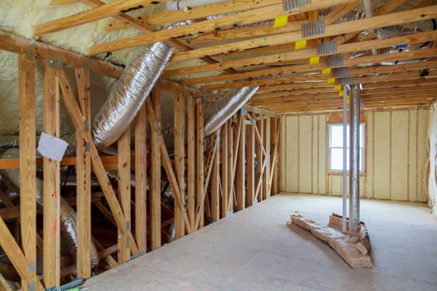 Best Types of Insulation in Fruitland Park, FL