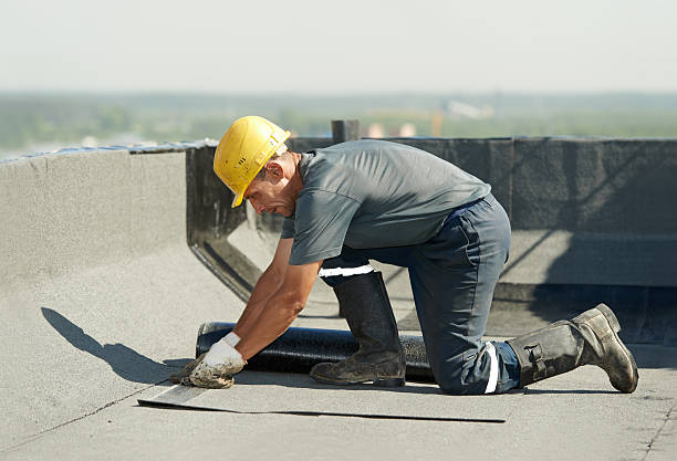 Best Insulation Maintenance and Repair in Fruitland Park, FL